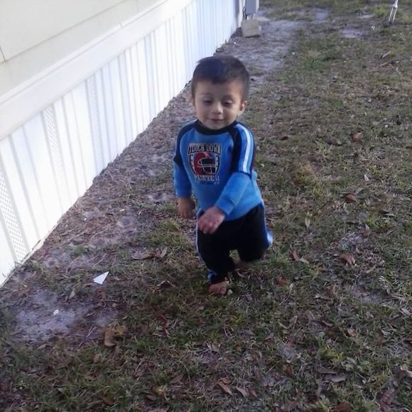 Meet your Posher, Cesar - Picture 1 of 1